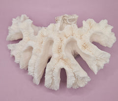 Vintage Open Brain Coral Decorative Piece - 9.5