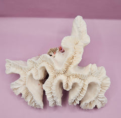 Vintage Open Brain Coral Decorative Piece - 9