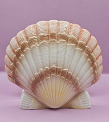 Vintage Otagiri Seashell - Shaped Napkin Holder - 5.2