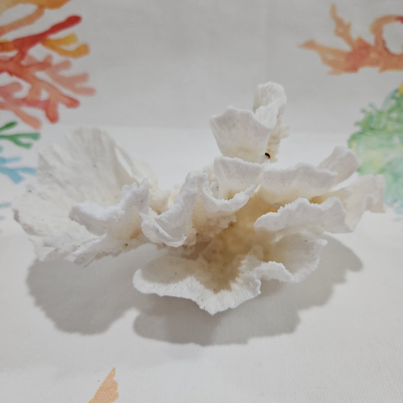 Vintage Poca Coral - 5.5" - coralTideline