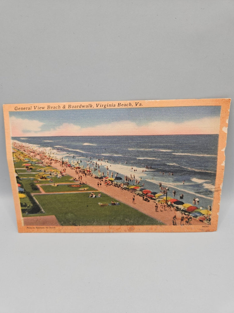 Vintage Postcards – Perfect for Crafting, Scrapbooking, and Ephemera - 5.5"x3.5" - Loving Coastal Living