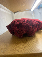 Vintage Red Pipe Coral - 21