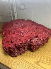 Vintage Red Pipe Coral - 21