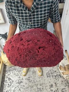 Vintage Red Pipe Coral - 25" - coralTideline