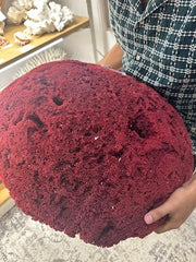 Vintage Red Pipe Coral - 25