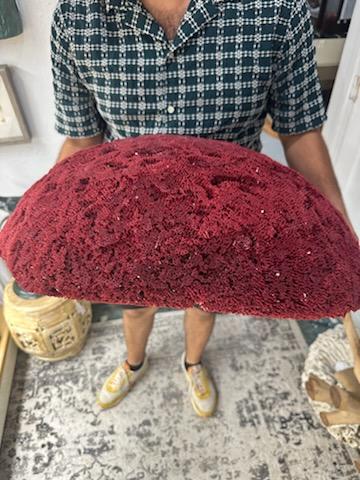 Vintage Red Pipe Coral - 25" - coralTideline