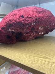 Vintage Red Pipe Coral - 25