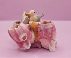 Vintage Seagull on Barnacle Figurine – Nautical Coastal Decor – Two Sizes Available - Accent DecorLoving Coastal Living