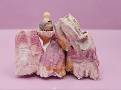 Vintage Seagull on Barnacle Figurine – Nautical Coastal Decor – Two Sizes Available - Accent DecorLoving Coastal Living