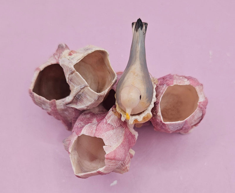 Vintage Seagull on Barnacle Figurine – Nautical Coastal Decor – Two Sizes Available - Accent DecorLoving Coastal Living