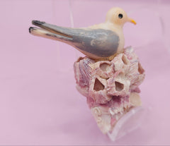 Vintage Seagull on Barnacle Figurine – Nautical Coastal Decor – Two Sizes Available - Accent DecorLoving Coastal Living