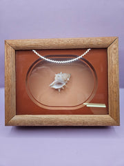 Vintage Shadow Box with Shell Display – 8.5