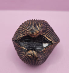 Vintage Shell Paperweight – 3