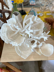 Vintage Staghorn & Cup Coral Sculpture - 17