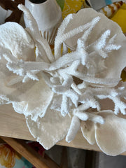 Vintage Staghorn & Cup Coral Sculpture - 17