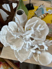 Vintage Staghorn & Cup Coral Sculpture - 17