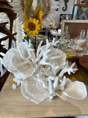 Vintage Staghorn & Cup Coral Sculpture - 17