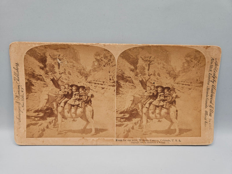 Vintage Stereo View & Black and White Photos – Perfect for Crafting, Scrapbooking, and Ephemera (Sizes 4.5" - 7") - Accent DecorLoving Coastal Living
