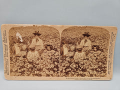 Vintage Stereo View & Black and White Photos – Perfect for Crafting, Scrapbooking, and Ephemera (Sizes 4.5