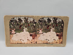 Vintage Stereo View & Black and White Photos – Perfect for Crafting, Scrapbooking, and Ephemera (Sizes 4.5