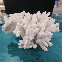Vintage White Branch Coral - 7x5.5x6 - coralLoving Coastal Living