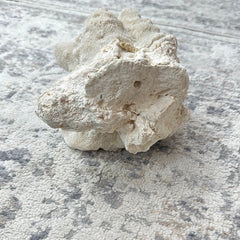 Vintage White Cauliflower Coral - 10