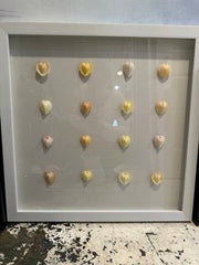 White Frame with Natural Pastel Heart Cockle Shells - Loving Coastal Living