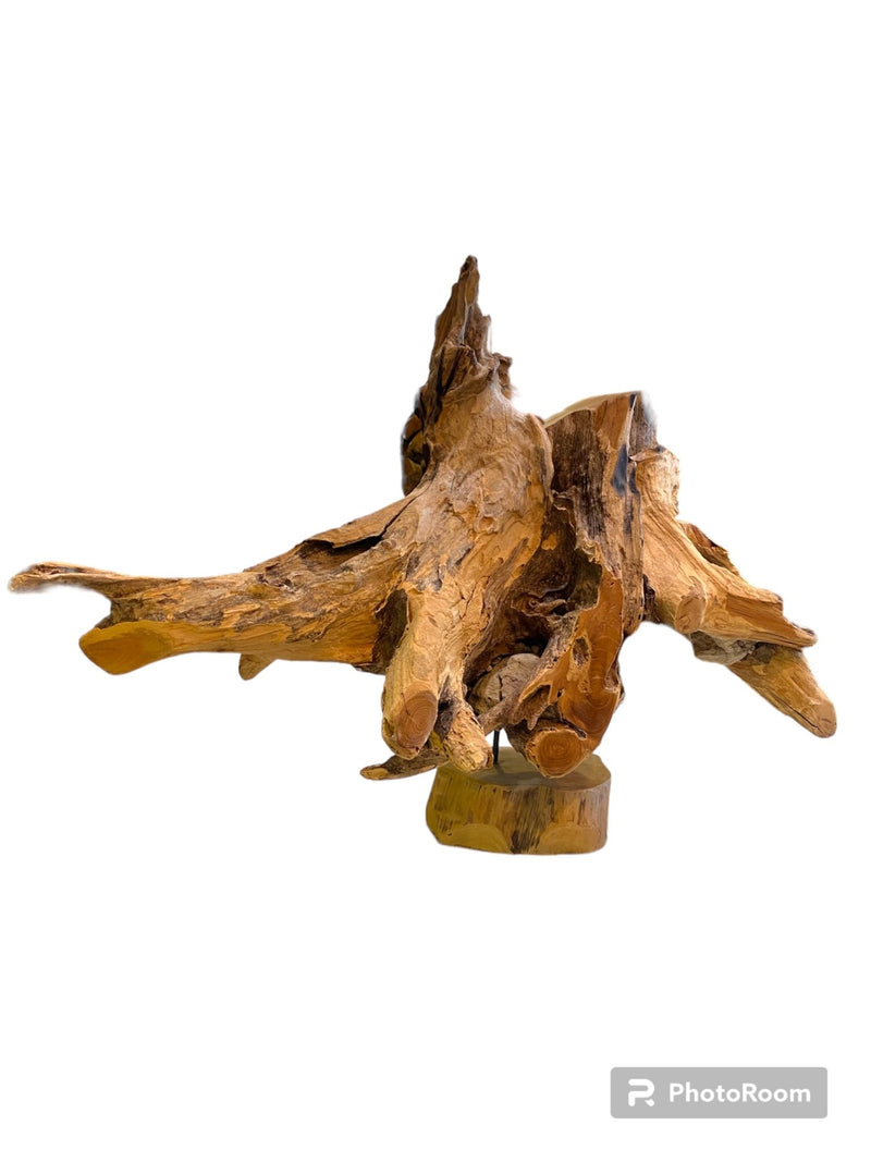 Wooden Horse Head Sculpture - 32" - Wood AccentLoving Coastal Living