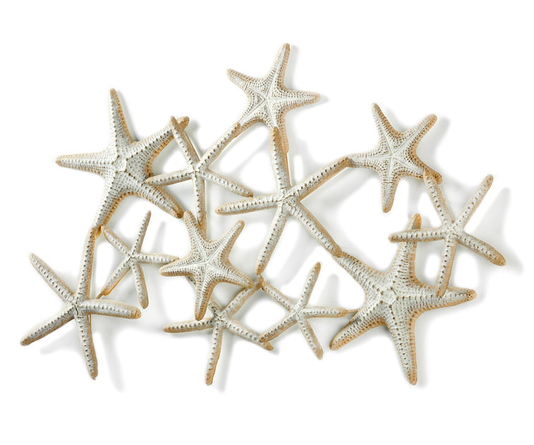 Metal Starfish Wall Decor | Loving Coastal Living