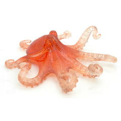 Clear Octopus