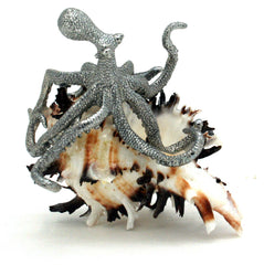 Murex Pewter Octopus