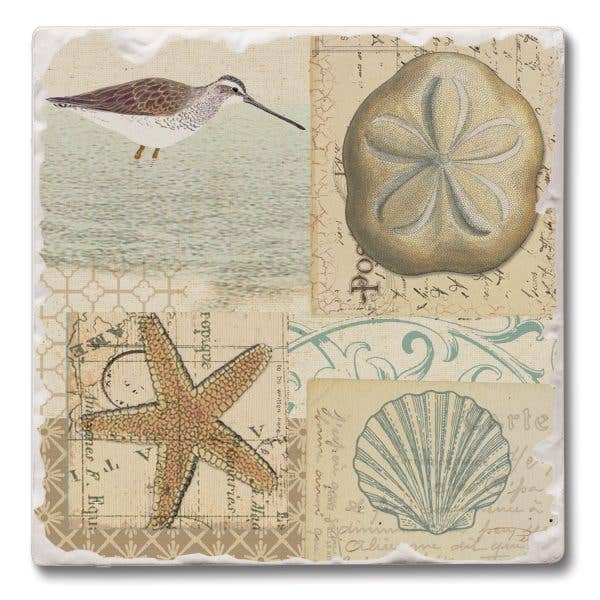 Shell Collage Absorbent Tumbled Tile Coaster 4pk