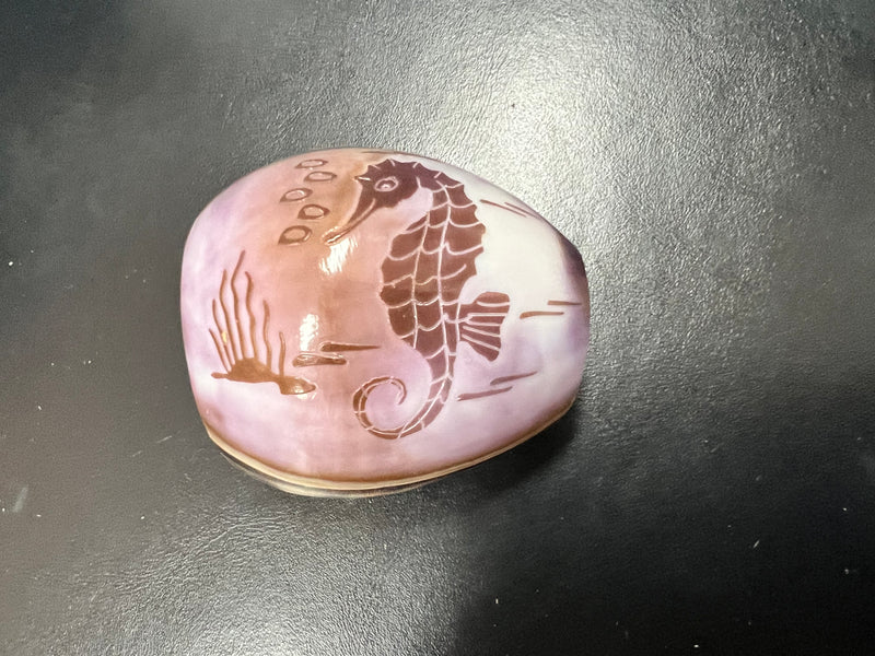 Etched Seahorse Cowrie Napkin Holder