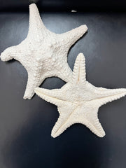 White Chunky Starfish