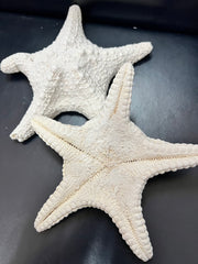 White Chunky Starfish