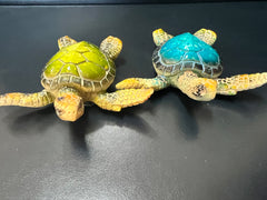 Turtle Magnets- 2 Styles