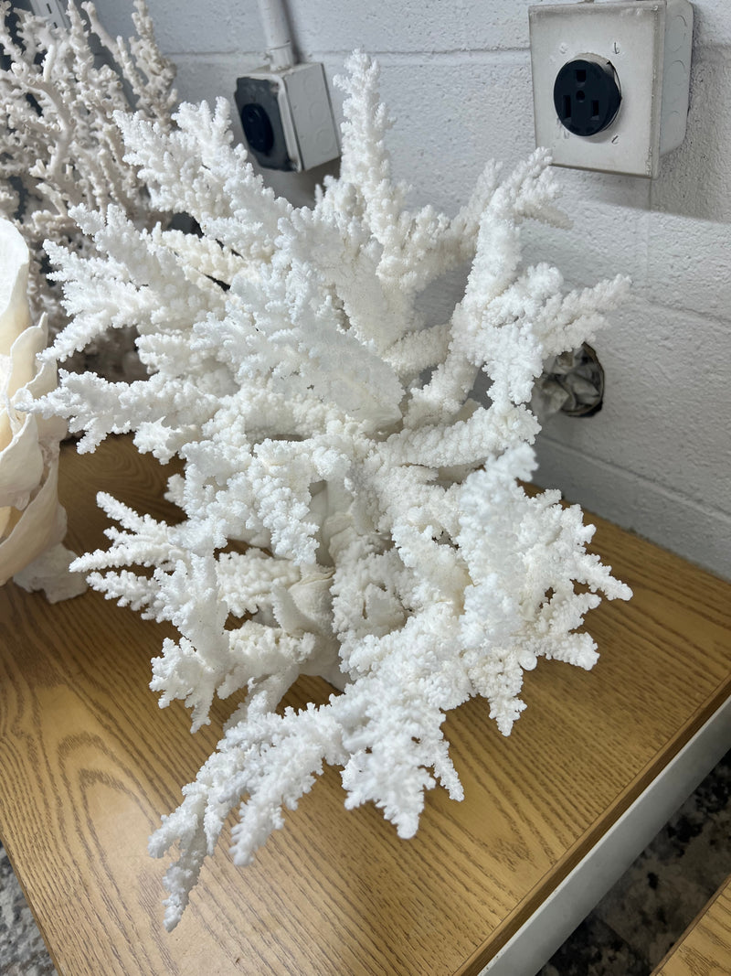 Magnolia Mews Consignments - Large white branch coral