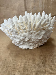 VIntage Finger Coral- 13