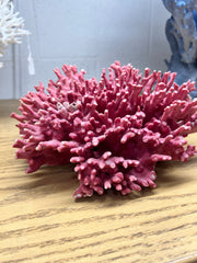 Vintage Lace/Octopus Coral Sculpture- 21