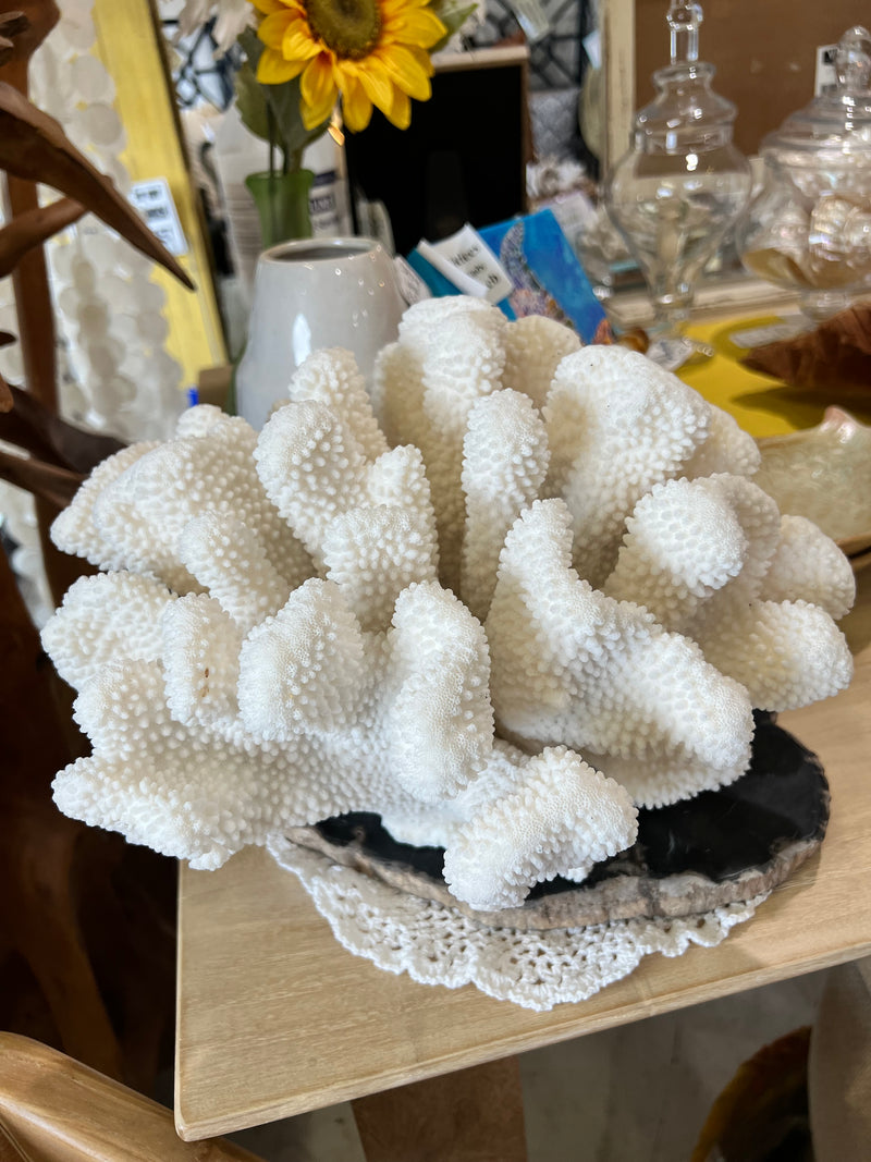 Vintage Cauliflower Coral- 15"