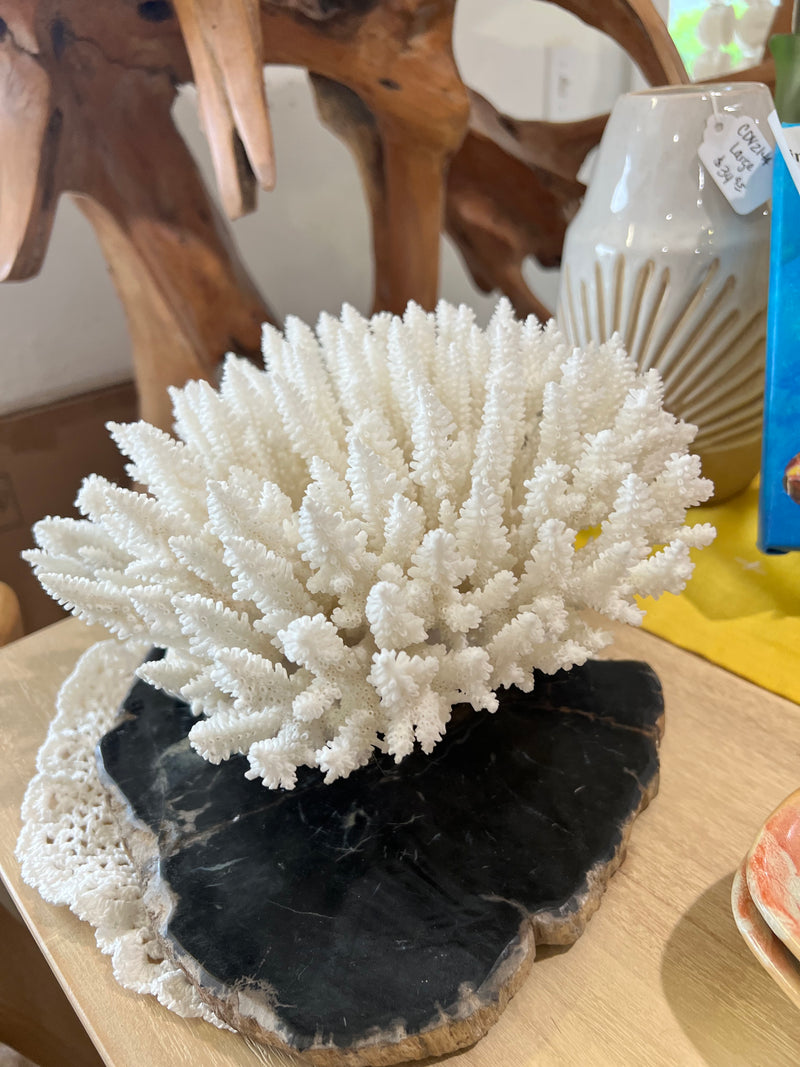 Vintage Table Coral-11.5"