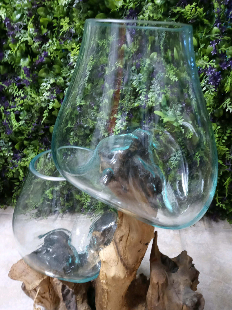 Teak Wood and Molten Glass Terrarium- Two Globes
