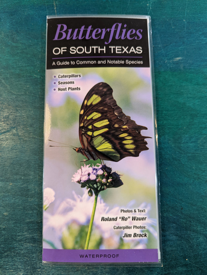 Texas Guide Pamphlets