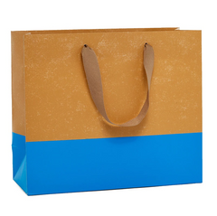 Kraft Two-Tone Gift Bag