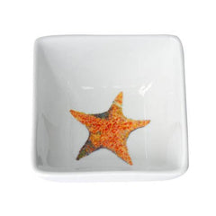 A Star is Born Dinnerware - DishesKim Rody Creations LLC