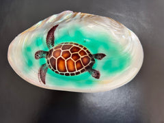 Abalone Boxes - Two Styles - JewelryWorld Shells Imports