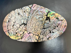 Abalone Boxes - Two Styles - JewelryWorld Shells Imports