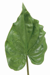Faux Calla Leaf - 26