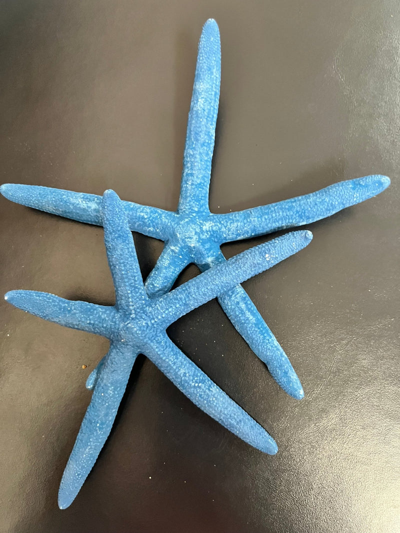 Aqua Blue Starfish - StarfishLoving Coastal Living