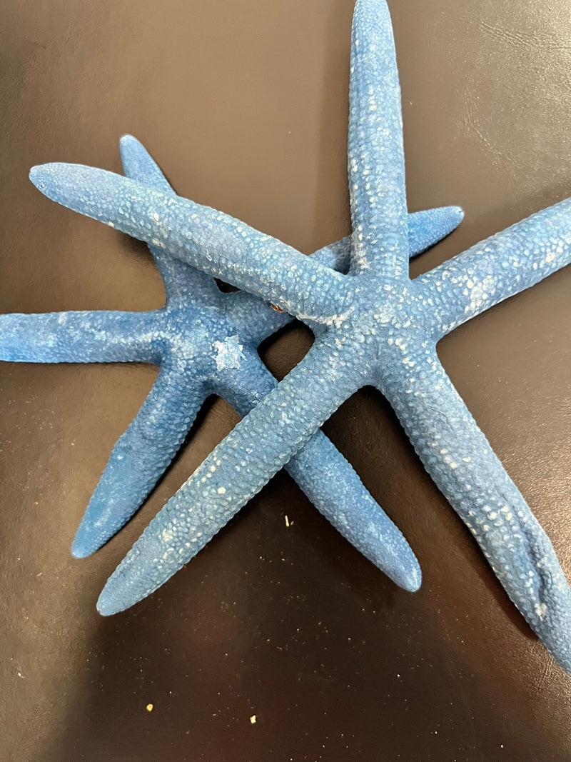 Aqua Blue Starfish - StarfishLoving Coastal Living